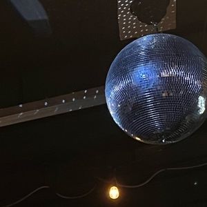 Meet your Posher, Gracie